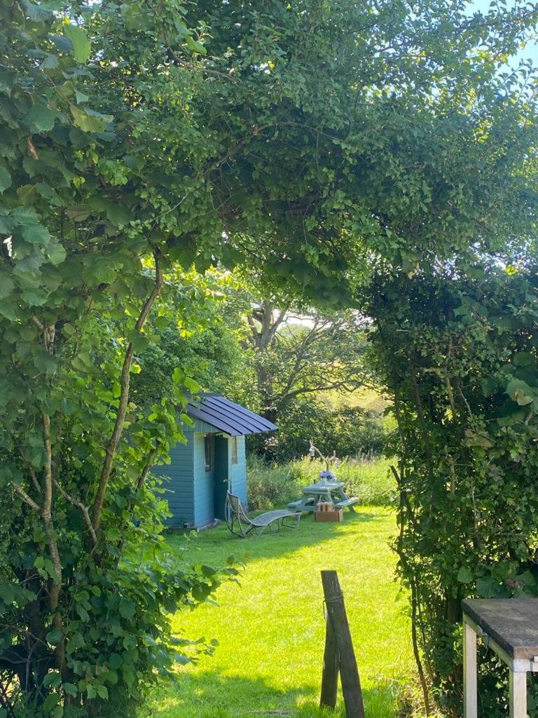 Luxury Homely Open-plan Barn With Log Burner & Games